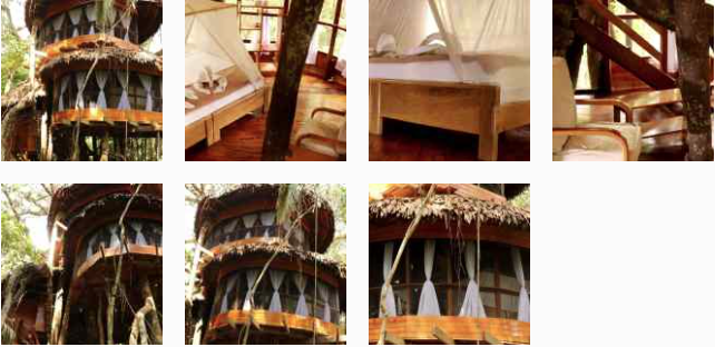 amazon treehouse 11 gallery