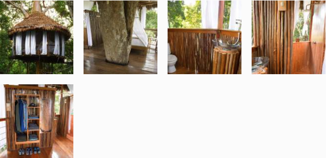 amazon treehouse 9 gallery