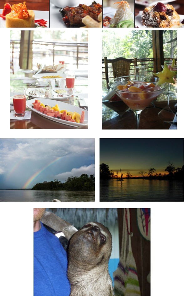amazon treehouse lodge dining