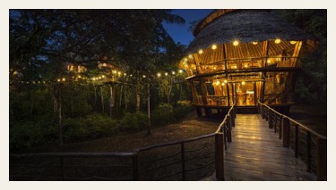 treehouse lodge on amazon tour