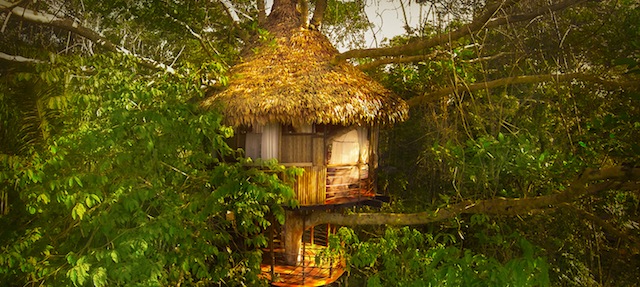 Treehouse3-Final-Big