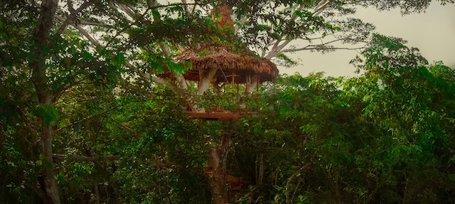 Treehouse8-Final-Big
