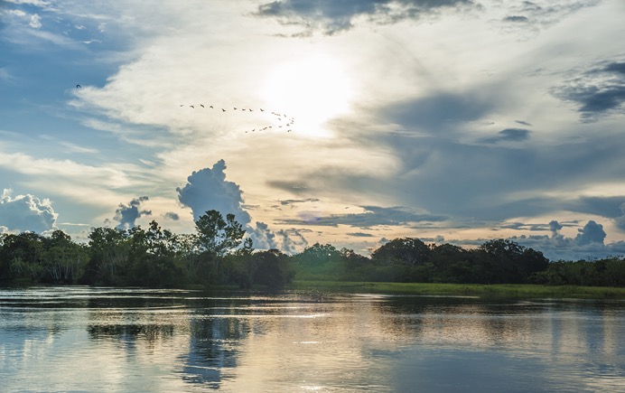 Amazon - Landscapes - 02