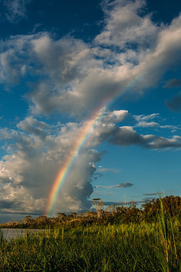 Amazon - Landscapes - 04