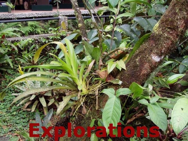 costa_rica_travel_pic6_WM