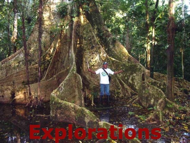 050-Segundo-tree-roots_WM
