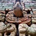 Copan grand macaw_WM
