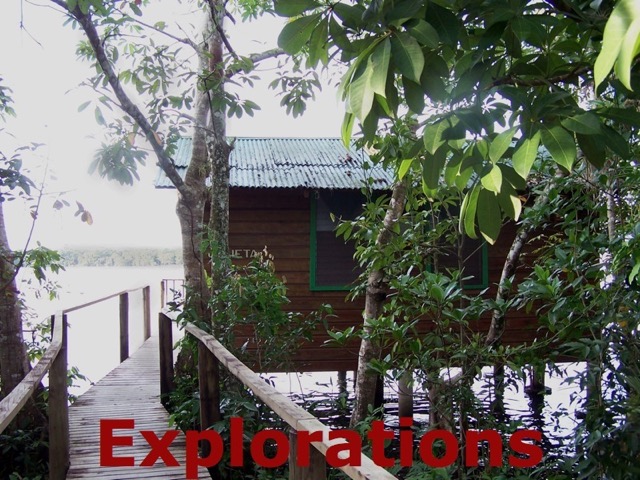 Rio Dulce cabin & walk_WM