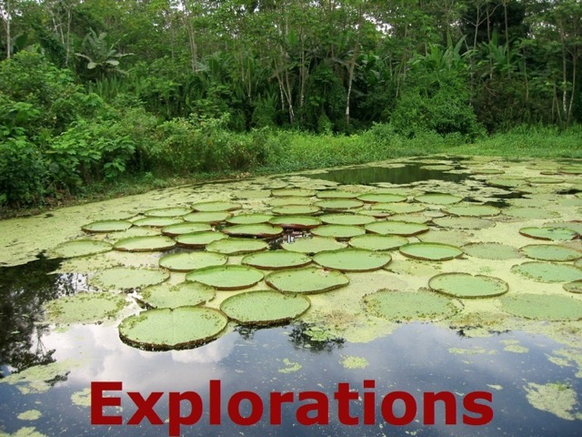 2008 Amazon Safari - 099_WM