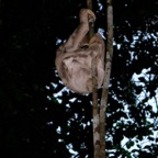 DSCN2186_WM
