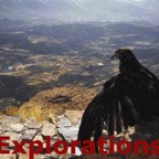 12-31-birdwatchcolca_WM
