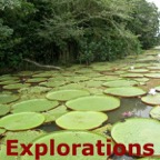 Amazon River rainforest tours and travel-55_WM