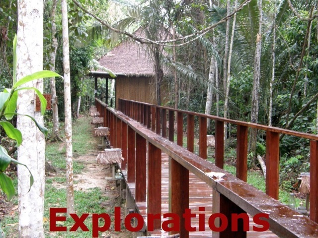 Amazon Tambopata rainforest-2_WM