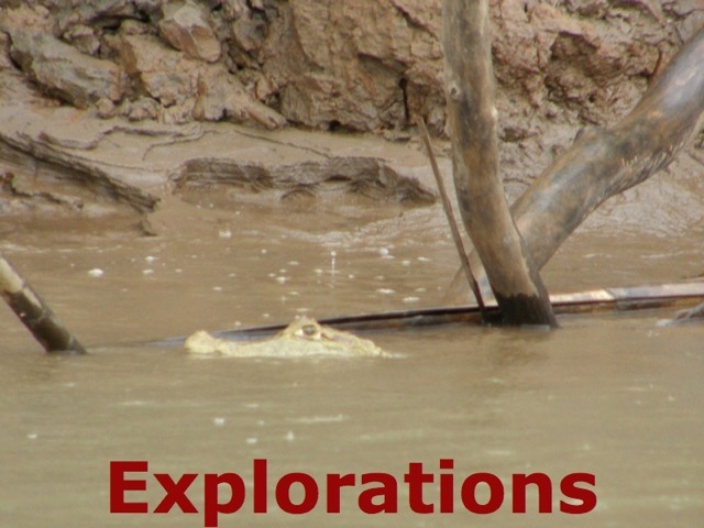 Amazon Tambopata rainforest_WM