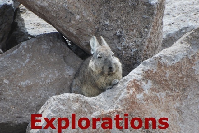 Andes travel, Peru tours-10_WM